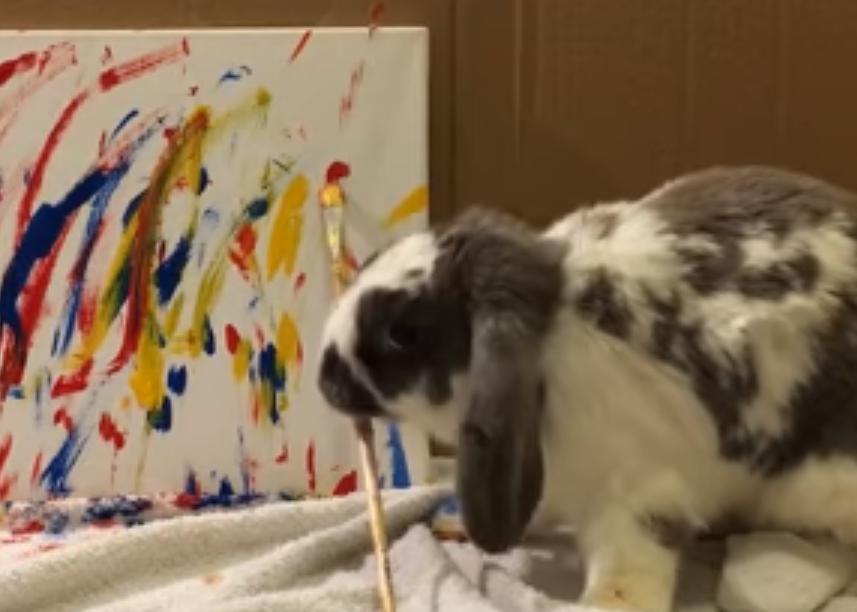 絵を描くウサギ